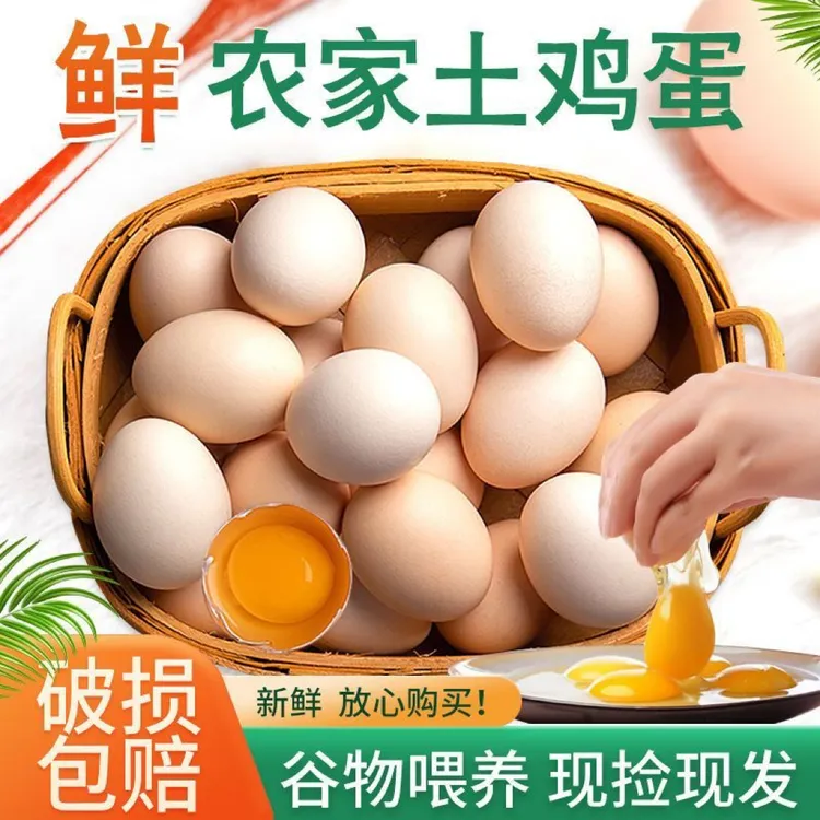 【拍25送25到手50枚】正宗新鲜现捡无抗散养正宗散养土鸡