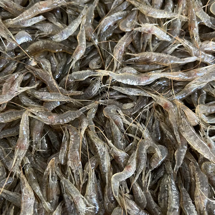 小河虾、不大，嫌小勿拍鲜香美味