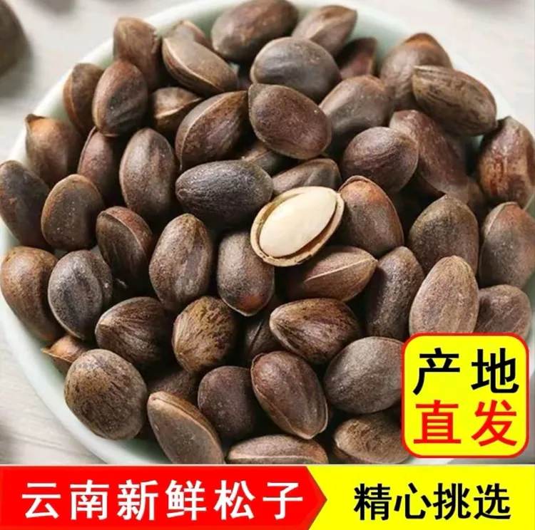云南新鲜薄壳原味松子可生吃饱满松子坚果零食