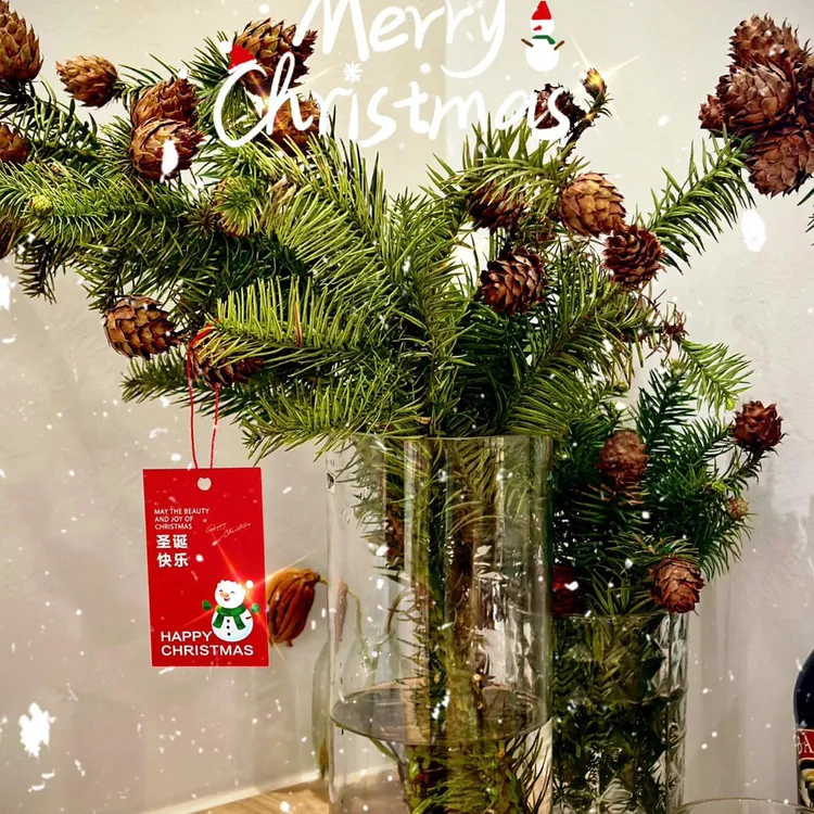 精选【莲花松果】节日装饰绿植家居氛围感水培植物室内圣诞树