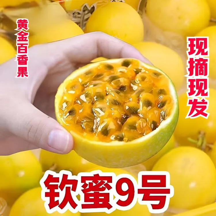 百香果钦密9号黄金百香果水果产地直发新鲜黄金果应季鸡蛋果原浆