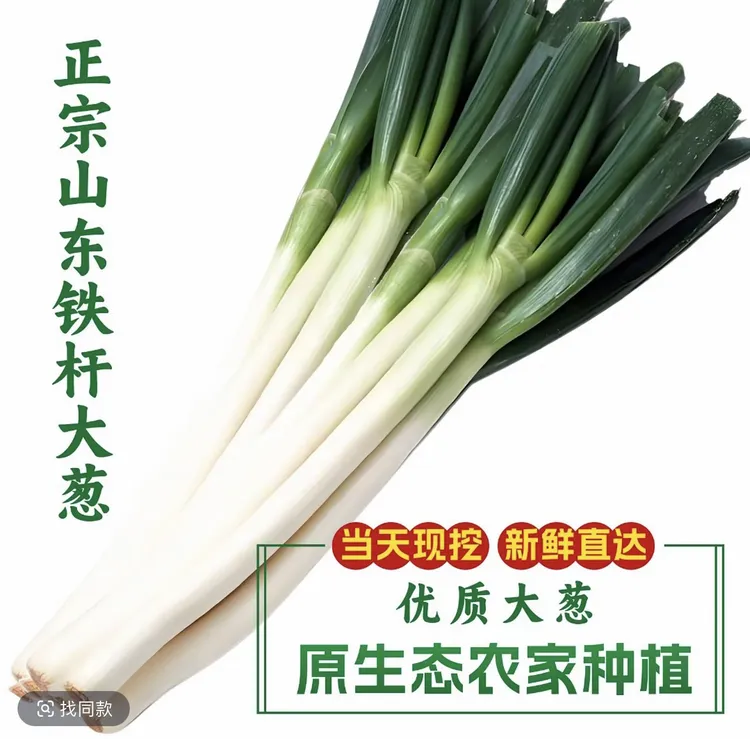 山东铁杆大葱新鲜蔬菜长白葱辣甜脆蘸酱健康现挖现发
