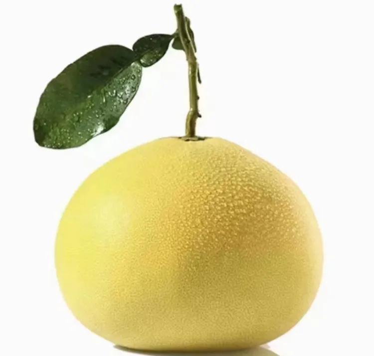 大果特大果正宗台州玉环文旦柚当季新鲜水果产地直发脆爽酸甜可口