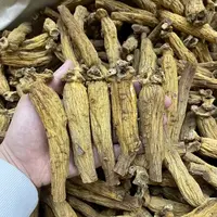[开心滋补精选]太极参