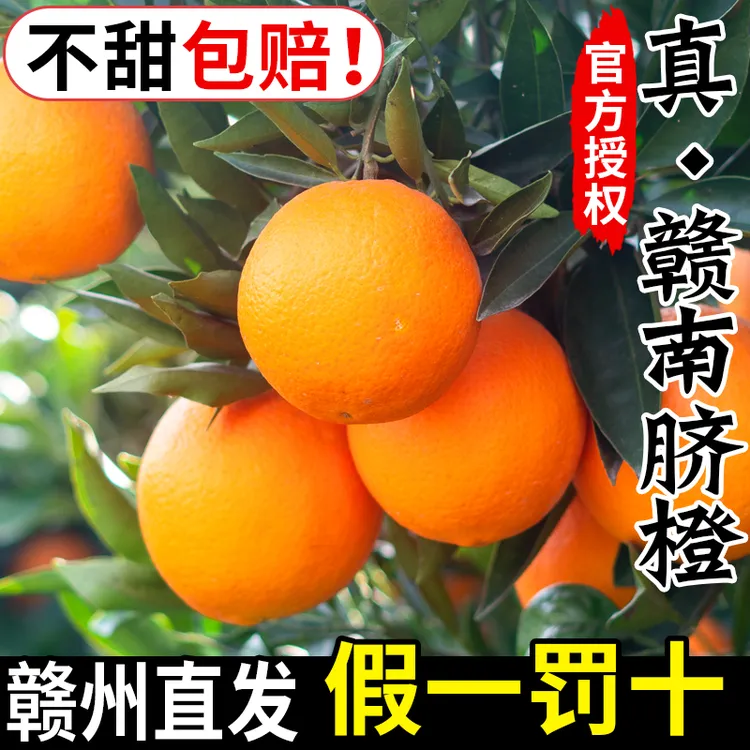 【赣州直发】正宗赣南脐橙江西甜手剥赣州橙子5斤当季头茬新鲜水果