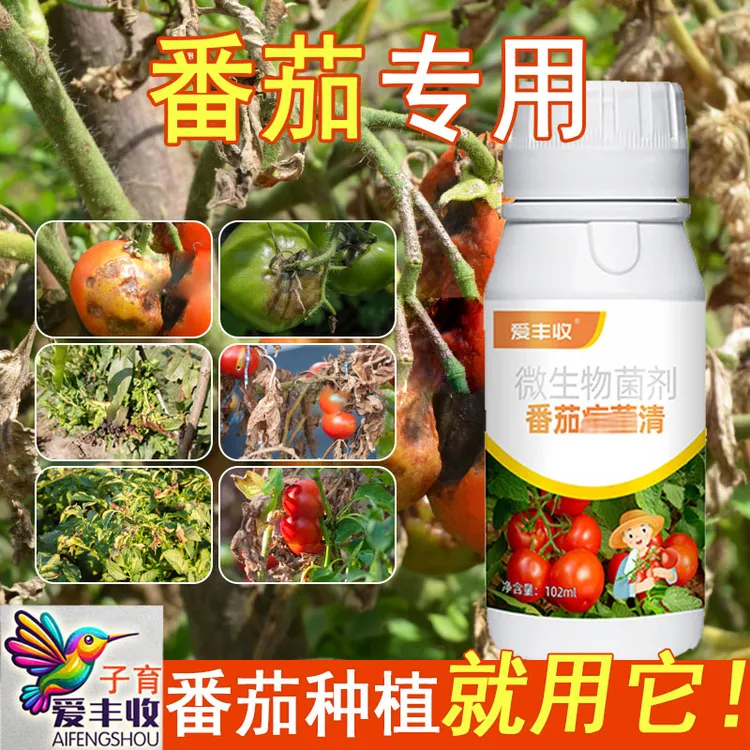 爱丰收番茄微生物菌清番茄专用西红柿微生物菌剂专用微生物菌肥料