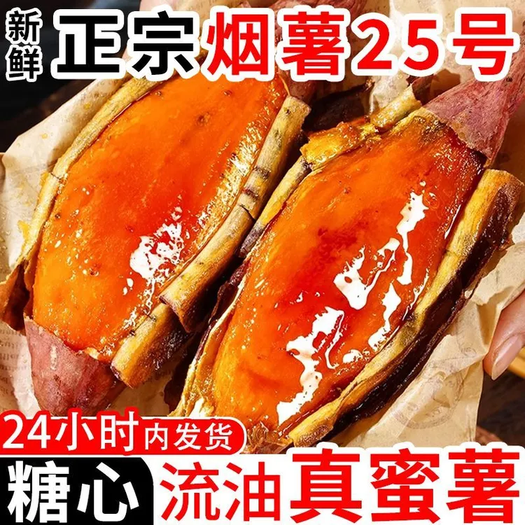 正宗【山东烟薯】新鲜现挖糖心沙地红薯软糯香甜可早餐大小蜜薯5斤