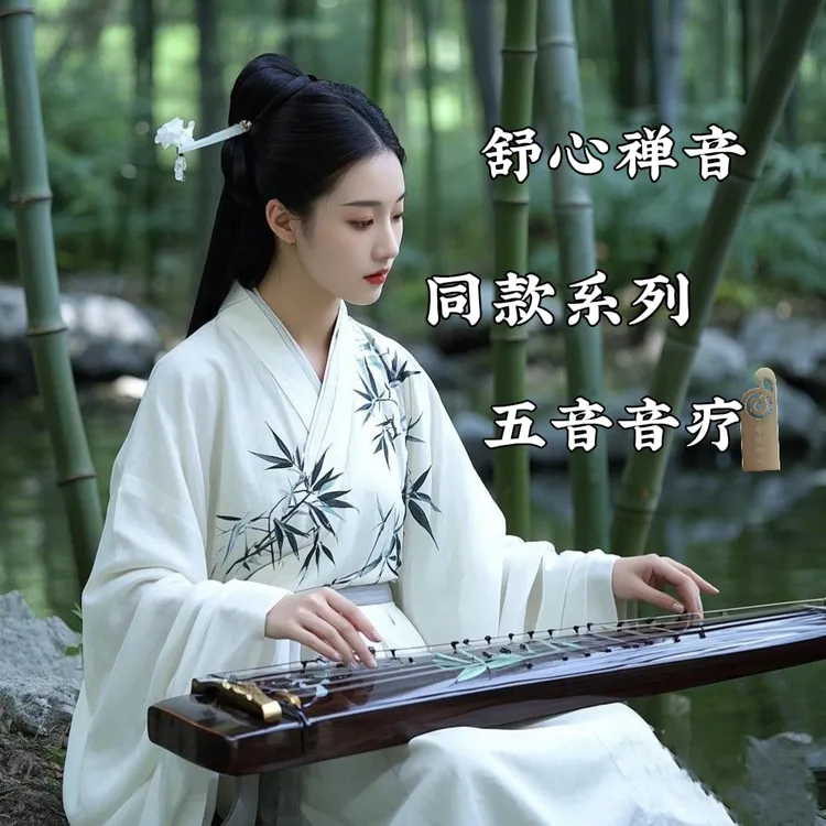 【舒心禅音同款推荐】2025全新升级汽车场景通用型