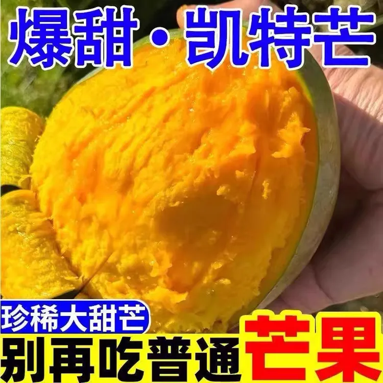  四川攀枝花凯特芒果大果新鲜水果批发整箱正宗非大青芒金煌芒果