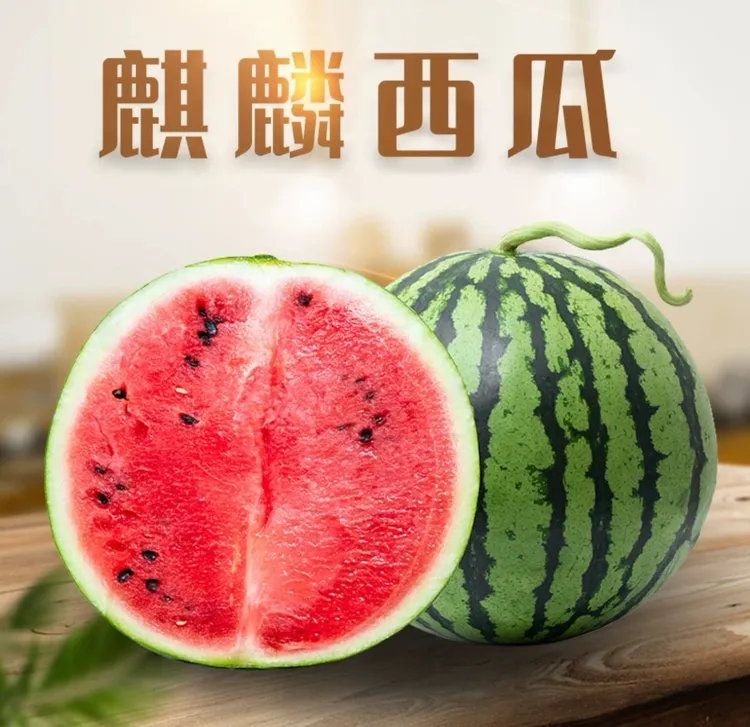 云南麒麟大西瓜夏邑8424冰糖新鲜水果多汁西瓜有籽西瓜产地