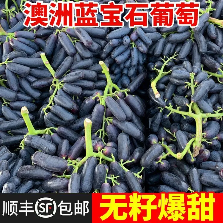 澳洲蓝宝石葡萄新鲜水果美人指金手指葡萄无籽黑提子