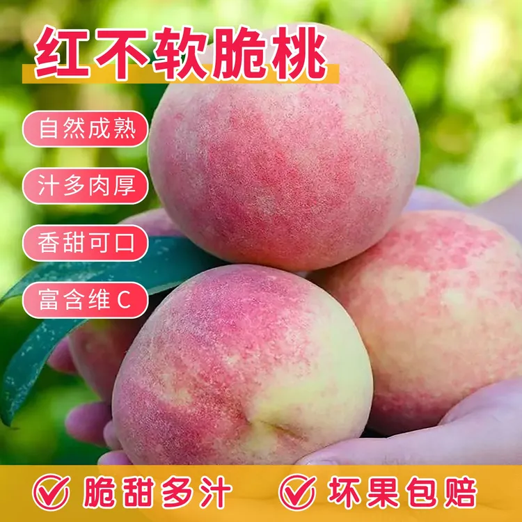 【红不软脆蜜桃】3斤5斤新鲜应季脆桃现摘现发脆甜多汁包邮水蜜桃