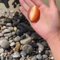 未镶嵌和田玉（糖玉）珠宝奇石