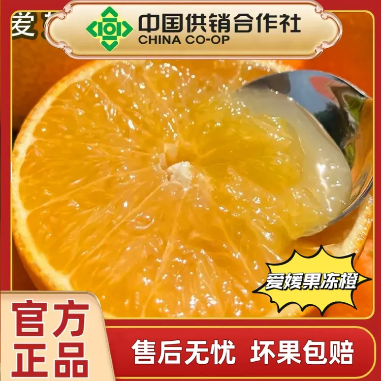 正宗四川爱媛38号果冻橙子新鲜水果当季柑桔蜜橘子爆汁甜D