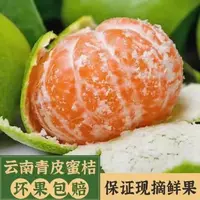 正宗高山青皮蜜橘新鲜应季水果酸甜多汁薄皮无核