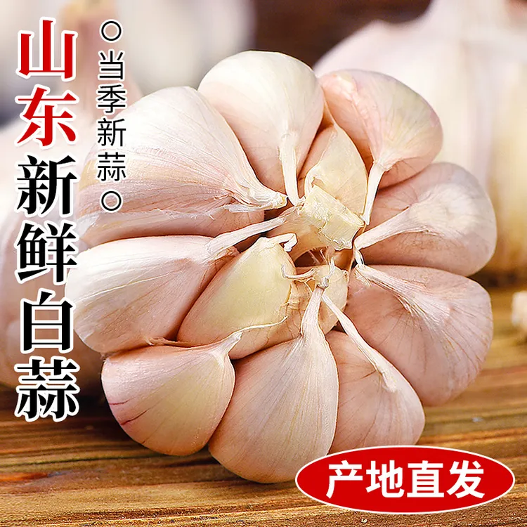 山东白皮蒜3斤特级种籽批发新鲜蒜瓣蒜头紫皮农家大蒜头干蒜种子