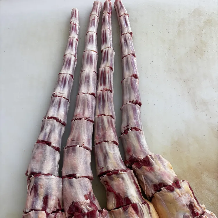 【黄牛尾 中段】断骨连肉 国产 清真 生鲜 包邮 红烧 清炖 煲汤