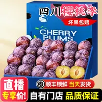 【顺丰送上门】礼盒装 四川樱桃李新鲜水果3斤脆红李脱骨李子脆甜当季整箱包邮四川省