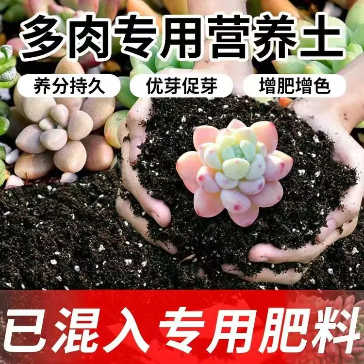 多肉专用营养土室内外养花通用型种植土绿植酸性土壤