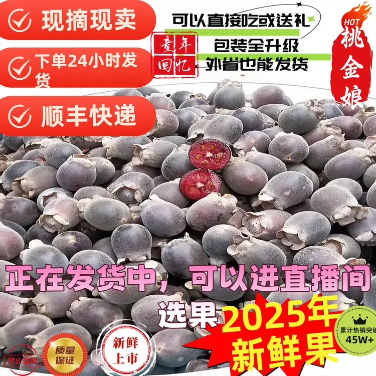 2025年现摘新鲜果成熟山捻子桃金娘果广东岗稔子山念子多尼果顺丰