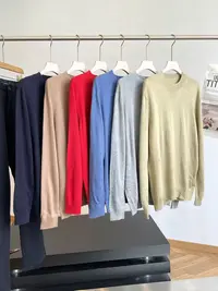 T 蚕丝羊毛奢感舒适！商场D 秋冬长袖针织衫薄毛衣 H6977 男装 C2