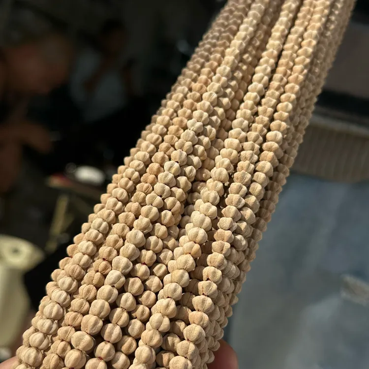 菩提珠串独家新品 龙骨金刚