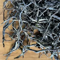 2025年落水洞高杆头春古树普洱茶生茶散茶500克/份