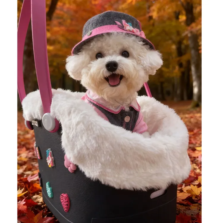 12斤内新款狗狗猫咪单肩手提包EVA便携外出小体宠物包洞洞包比熊