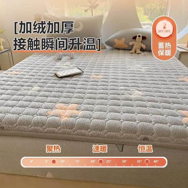 批发牛奶绒床笠加绒加厚珊瑚绒秋冬天季夹棉床单件床罩2024新款床