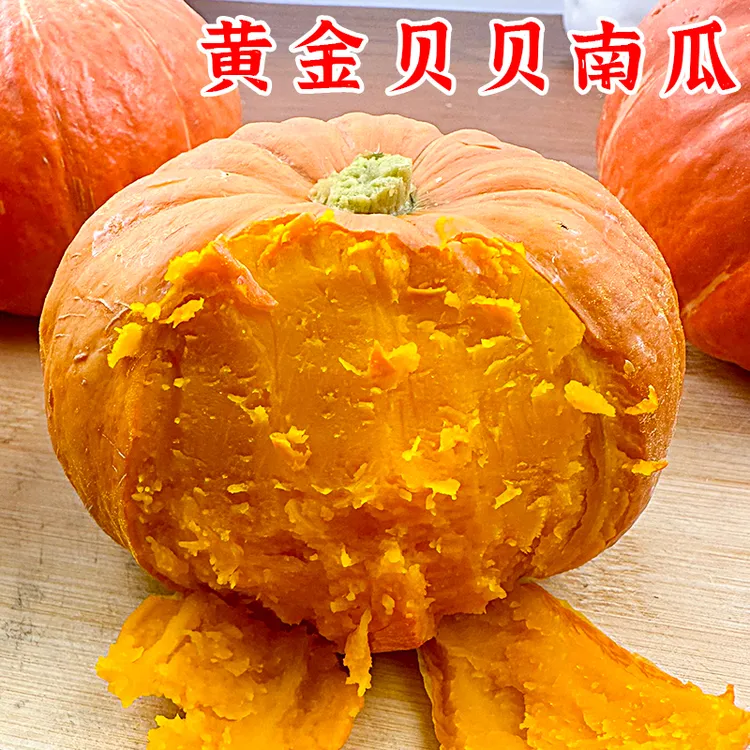 初柠柔黄金贝贝南瓜新鲜板栗味红皮小南瓜蔬菜粗粮粉糯香甜