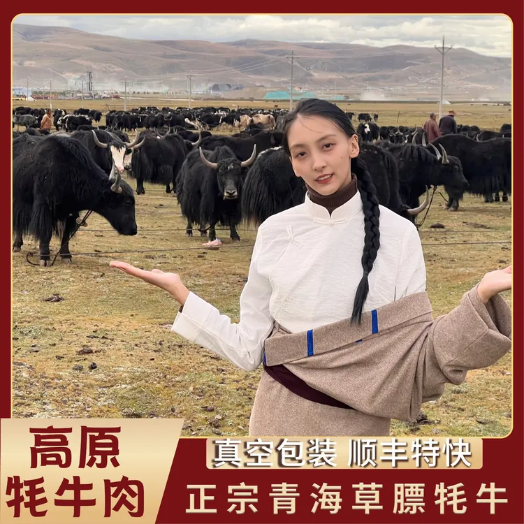 【丁珠】正宗牦牛肉 藏族人原产地直供的草膘牦牛 顺丰特快包邮