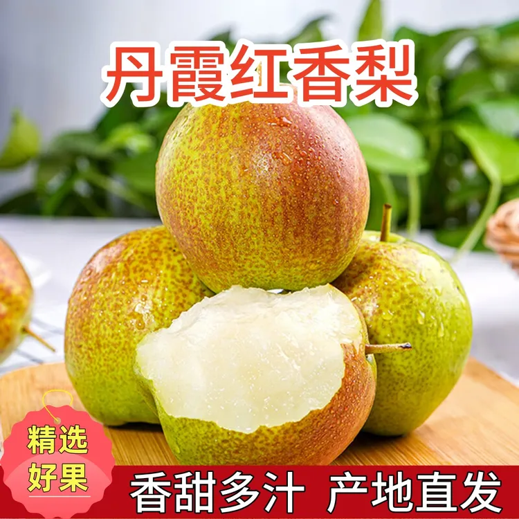 正宗丹霞红香梨新鲜应季香甜多汁4.5斤