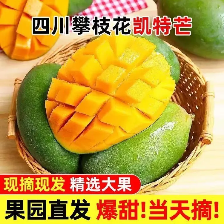 Z攀枝花凯特大芒果青芒多汁当季热卖水果产地直发当季新鲜水果