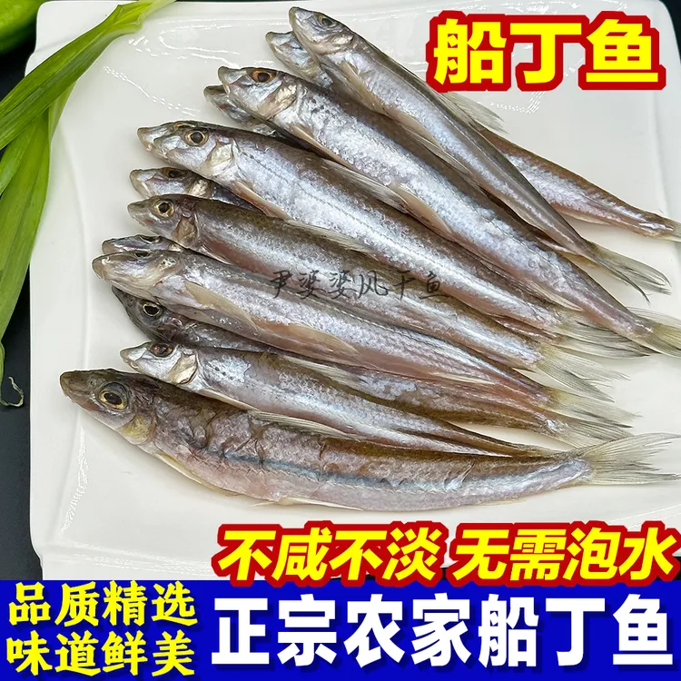 风吹船丁鱼棍子鱼丁公鱼淡干阳干鱼刺少肉厚湖区老少皆宜湖南特产