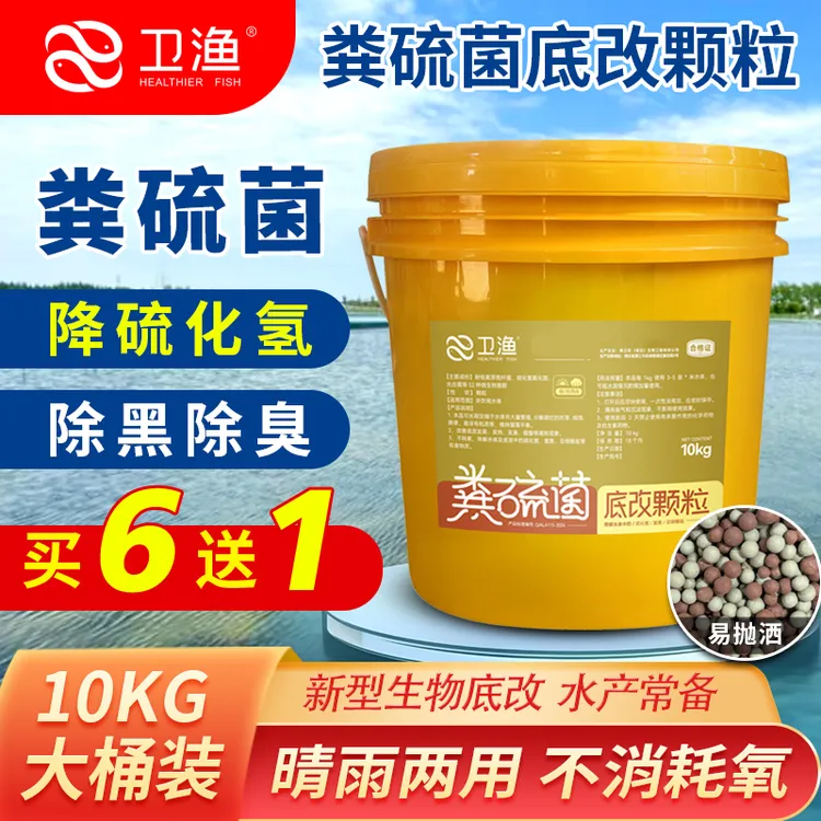 粪硫菌颗粒10kg水产养殖降硫化氢亚硝氨氮分解底泥净水除臭底改王