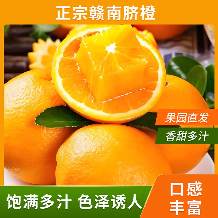 江西赣南脐橙 果园直供现摘现发 新鲜应季树上自然成熟