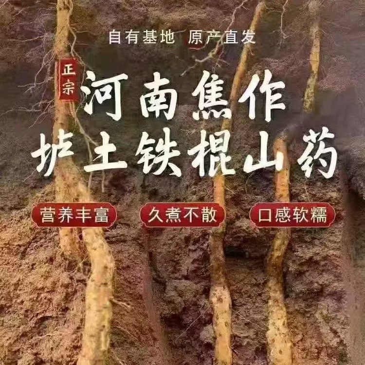 正宗铁棍山药软糯香甜营养健康多规格可选
