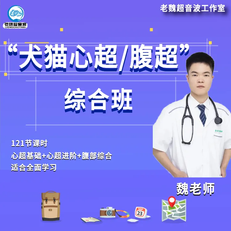 犬猫心超腹超综合班（IOS/配套打印版资料）