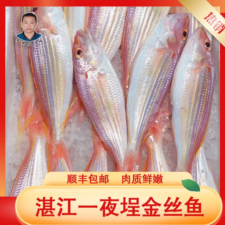 湛江一夜埕金丝鱼红杉鱼大金线鱼深海海捕新鲜红衫鱼 400g/包