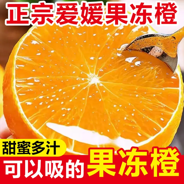 (主播推荐)四川爱媛38号果冻橙果肉细嫩酸甜多汁新鲜采摘整箱C