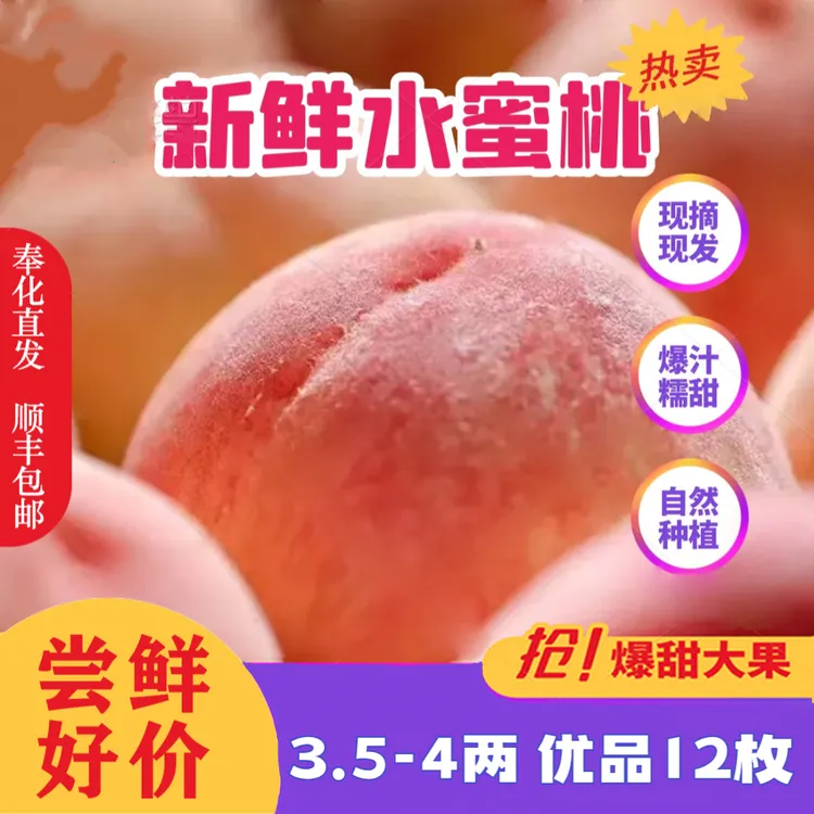 [云耕大堰]（175-200g)优果礼盒12枚宁波奉化水蜜桃卖货直播第一名