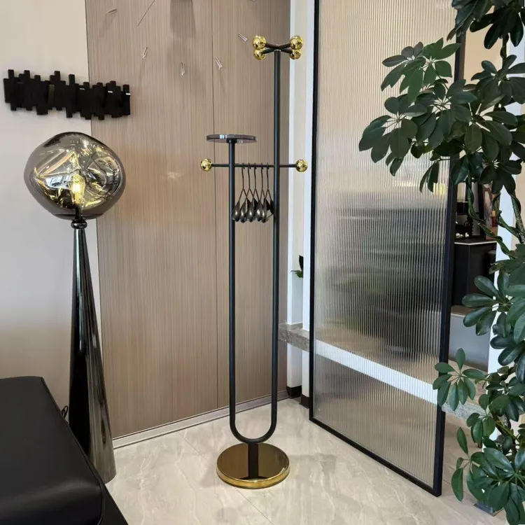 轻奢欧式衣帽架落地网红挂衣架家用卧室衣服包置物架简约现代ins