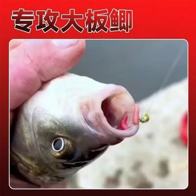 【小瓶装】鲜活红蛆虫钓鱼活饵鲤鲫鱼马口石斑野钓溪流垂钓苍蝇幼虫