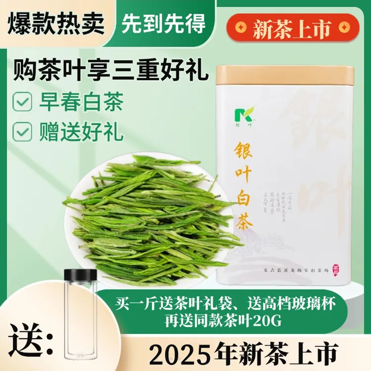 2025新茶 溪龙明前安吉原产地白茶 正味兰花香 罐装新茶叶