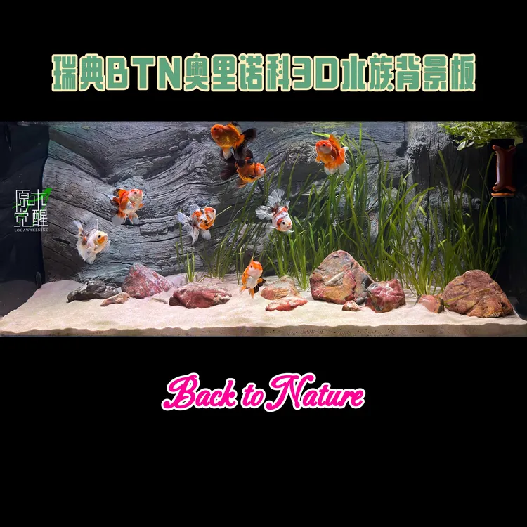 瑞典BTN奥里诺科3D水族背景板Back to Nature鱼缸内立体造景素材