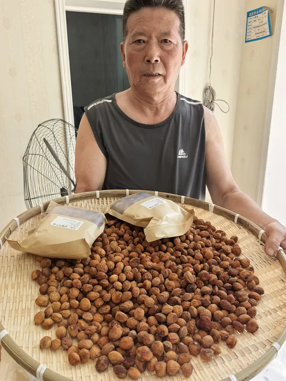 新疆伊犁树上干杏自然晾晒无添加【大果】杏干杏子西域吊干杏杏肉