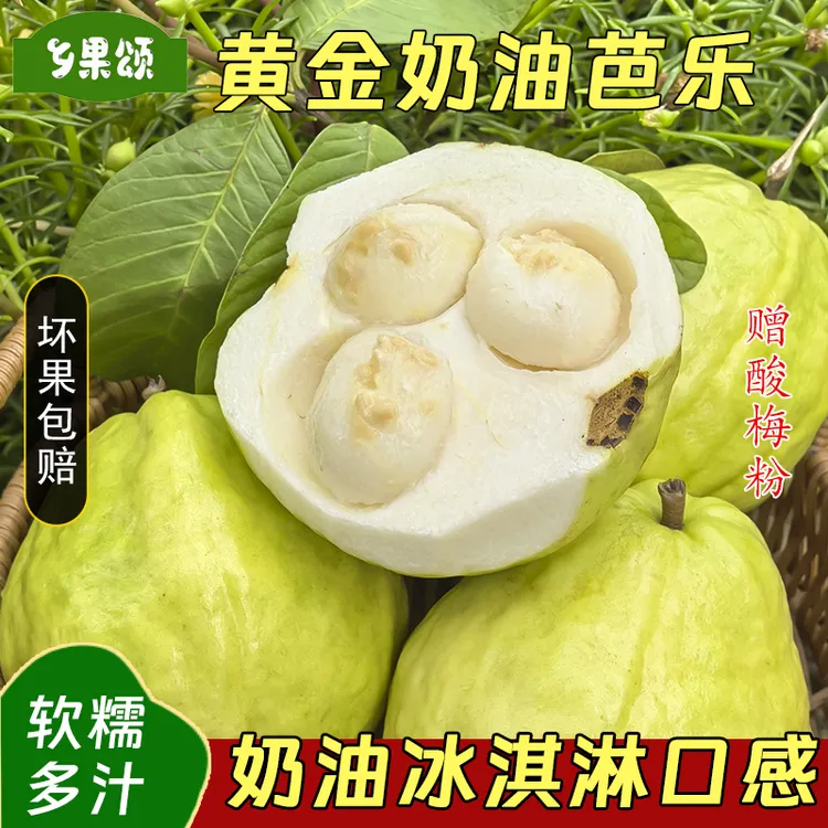 正宗广西白心奶油芭乐软糯香甜当季水果红心芭乐低糖鸡屎果番石榴