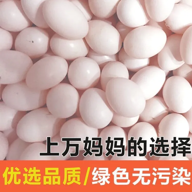 鸽子初生蛋新鲜营养健康谷物喂养鸽子蛋孕妇月子蛋营养正宗散养蛋