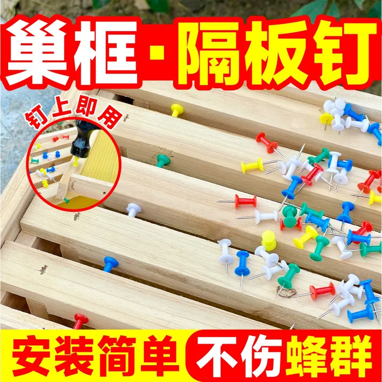 中蜂蜂路钉巢框间距固定钉中蜂巢脾间距钉蜂箱转场固定钉巢框钉