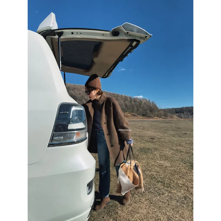 DAYUE【海拉尔】美得太髙级~100支美丽诺羊毛轻奢手工双面羊绒大衣